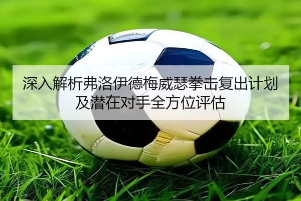 深入解析弗洛伊德梅威瑟拳击复出计划及潜在对手全方位评估